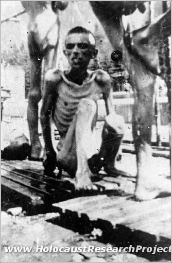 A starved prisoner liberated from Majdanek